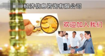 經(jīng)濟(jì)信息咨詢(xún)服務(wù)的內(nèi)容與范圍